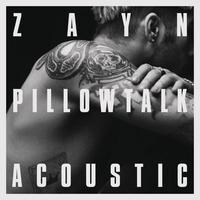 Zayn - "Pillowtalk (the living room session)"