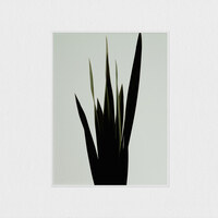 Wet releases "Weak"
