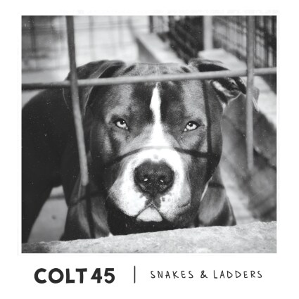 Cumbrian Punks Colt 45 Release 'Snakes & Ladders' EP