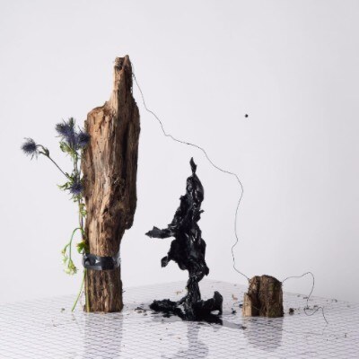 Is Tropical's new album 'Black Anything' is out today!
