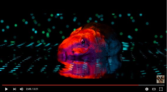 Yeasayer share new video 'Silly Me'