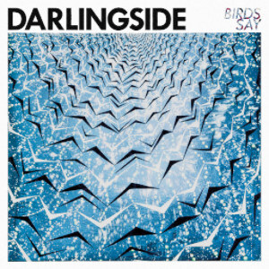 Darlingside releases Birds Say