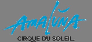 Amaluna is de meest succesvolle 'Grand Chapiteau' productie ooit van Cirque in België! 
