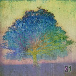 Texas Guitar Legend Eric Johnson Releases His First All-Acoustic Solo Album