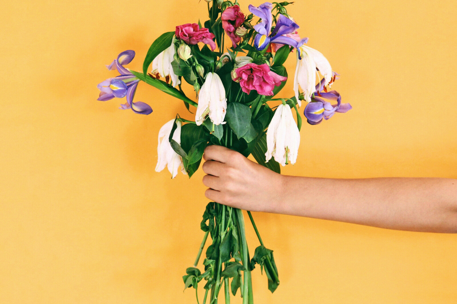 Decade release video for new single "Peach milk"