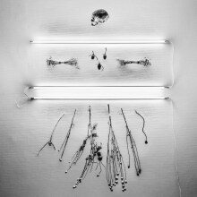 Scott Kelly, Colin H Van Eeckhout, Mathieu Vandekerckhove releases " Absent In Body"