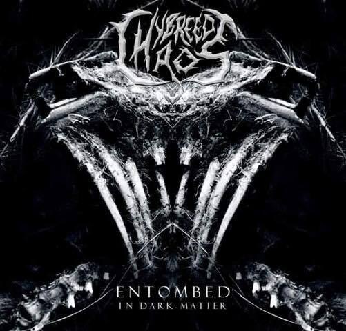 Hybreed Chaos Releases new album cover!