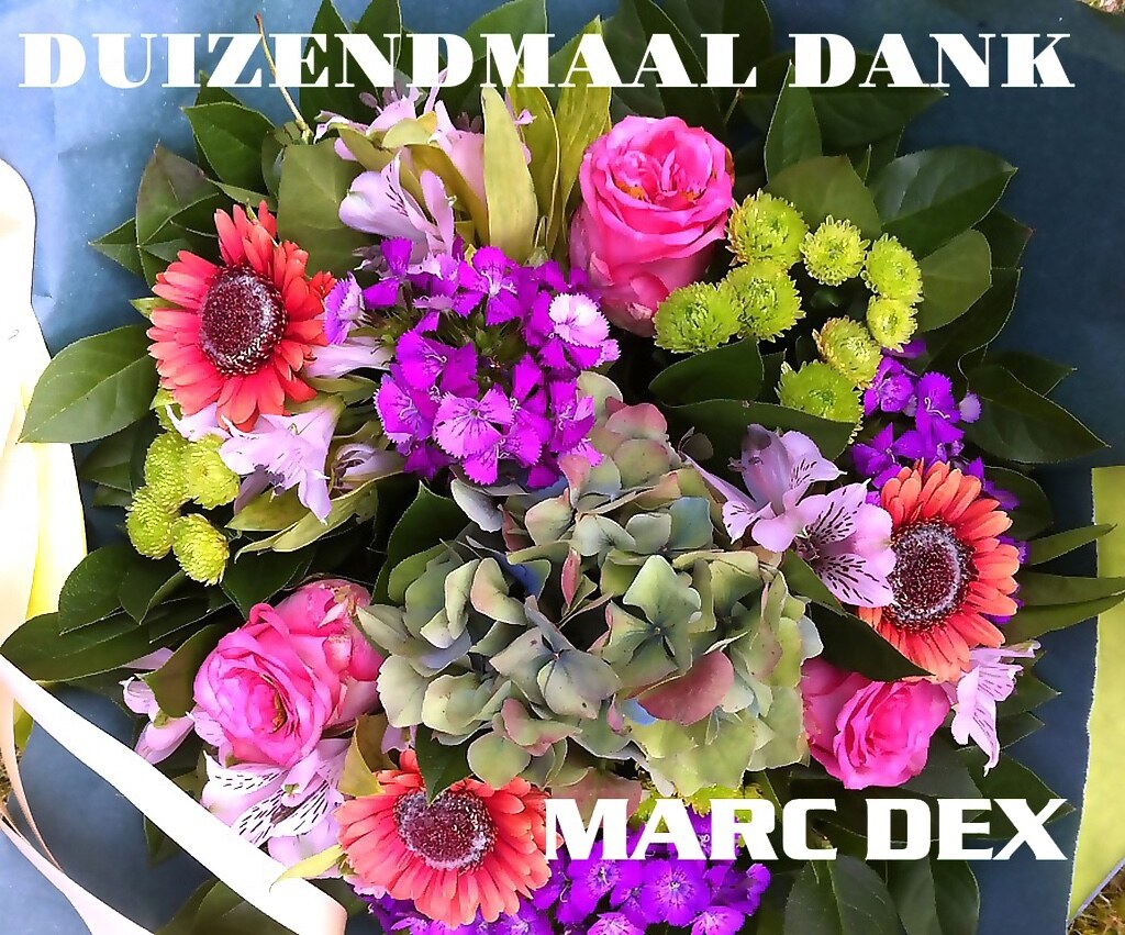 Marc Dex: "Duizendmaal Dank om er voor mij te zijn"