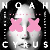 Noah Cyrus feat. Labrinth - "Make Me (Cry)"