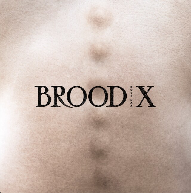 Boss Hog’s first album in 17 years: "Brood X"!
