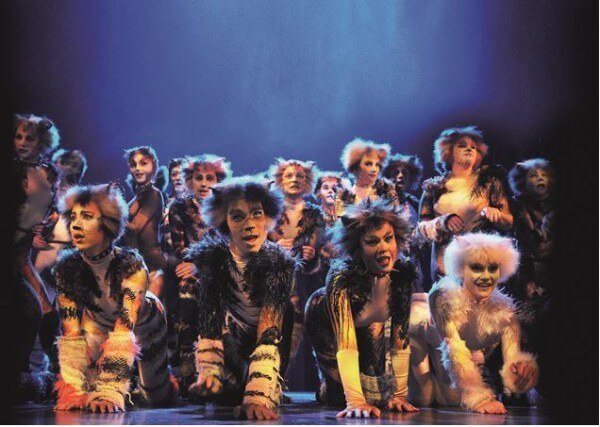 Extra shows hitmusical CATS in het Paasweekend