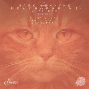 Raw District remix Mark Jenkyns ft. Mizbee - ‘Reach For Me’