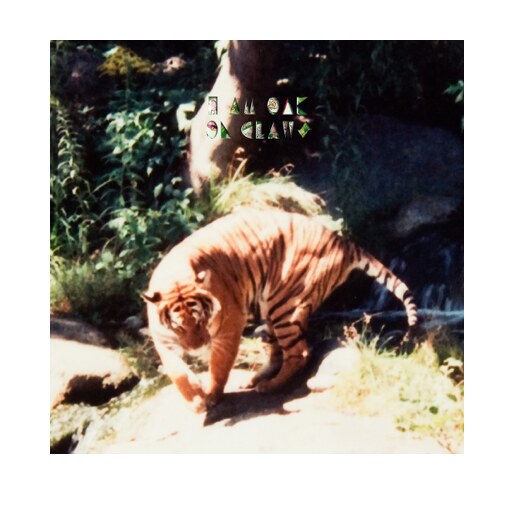 I Am Oak will release a Reissue of debut album ‘On Claws’