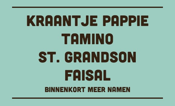 Faisal, St. Grandson, Tamino & Kraantje Pappie komen naar Zeverrock