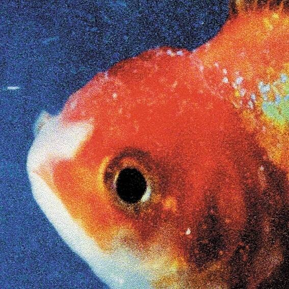Vince Staples Releases New Album ‘Big Fish Theory’