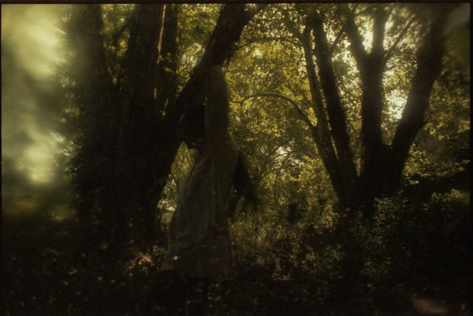 Prophecy Productions celebrate 10 year anniversary of Alcest's debut album