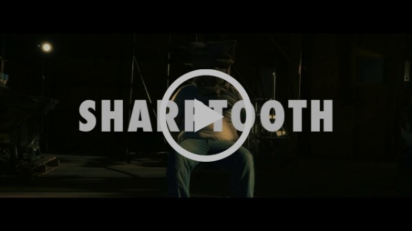 Sharptooth Join Pure Noise