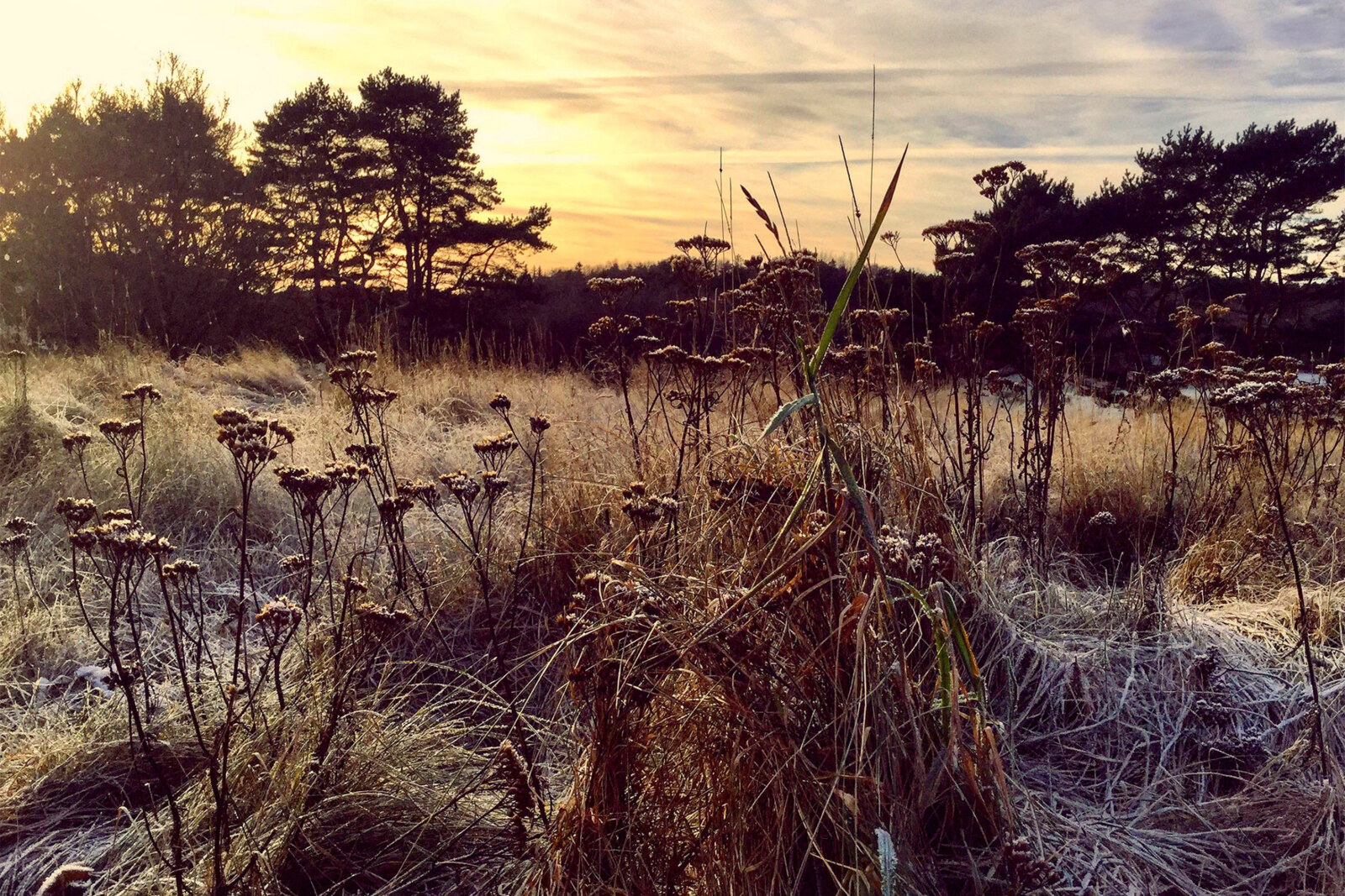 Ane Brun's New Album is Mixtape for Crush