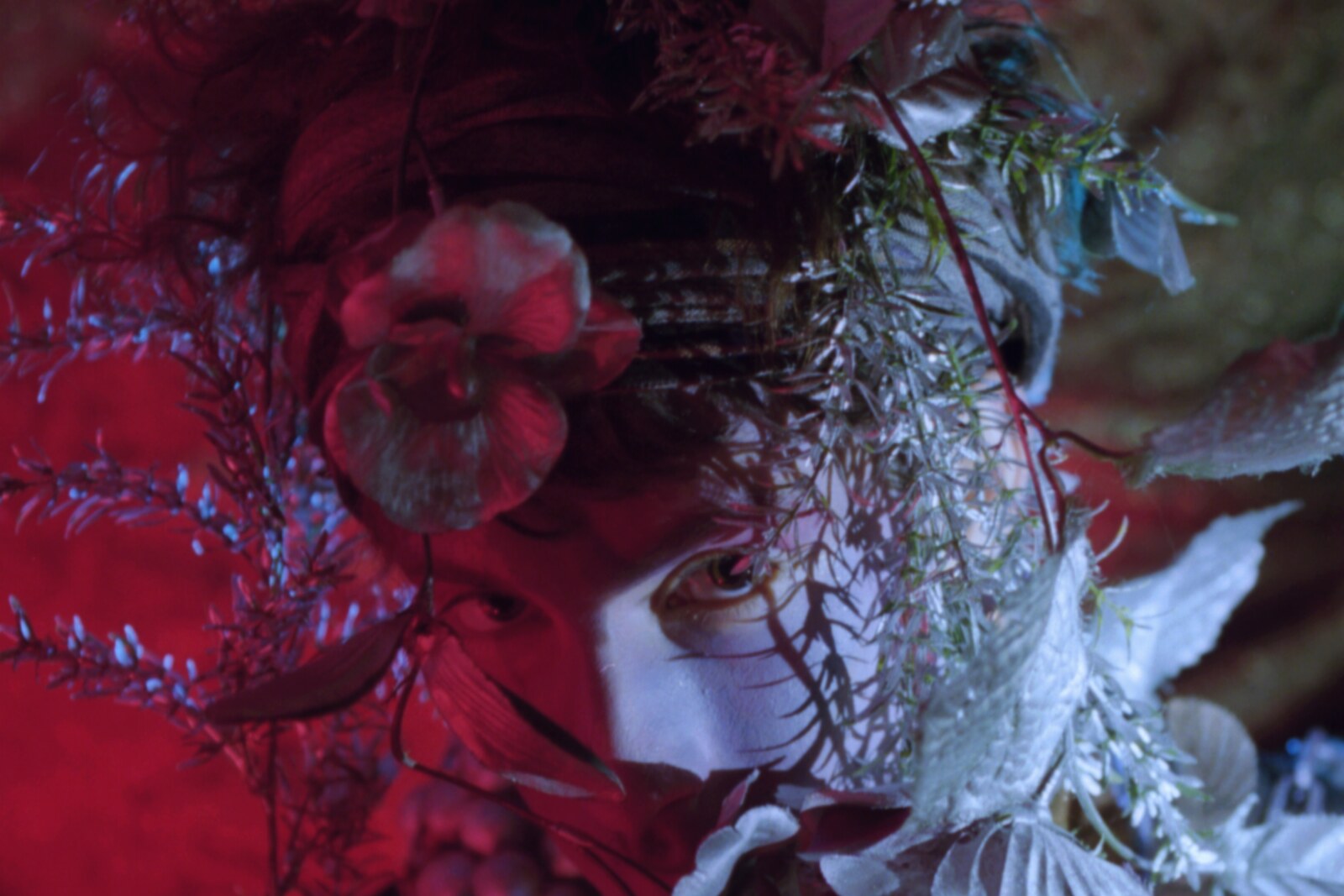 Doldrums European tour dates