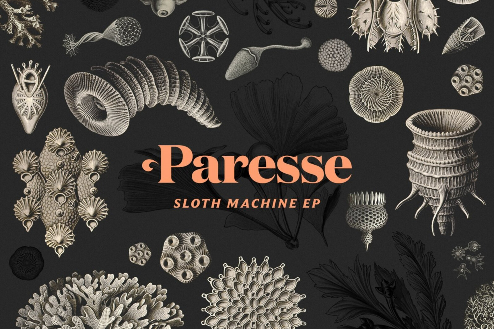 Out now: Paresse - Sloth Machine EP