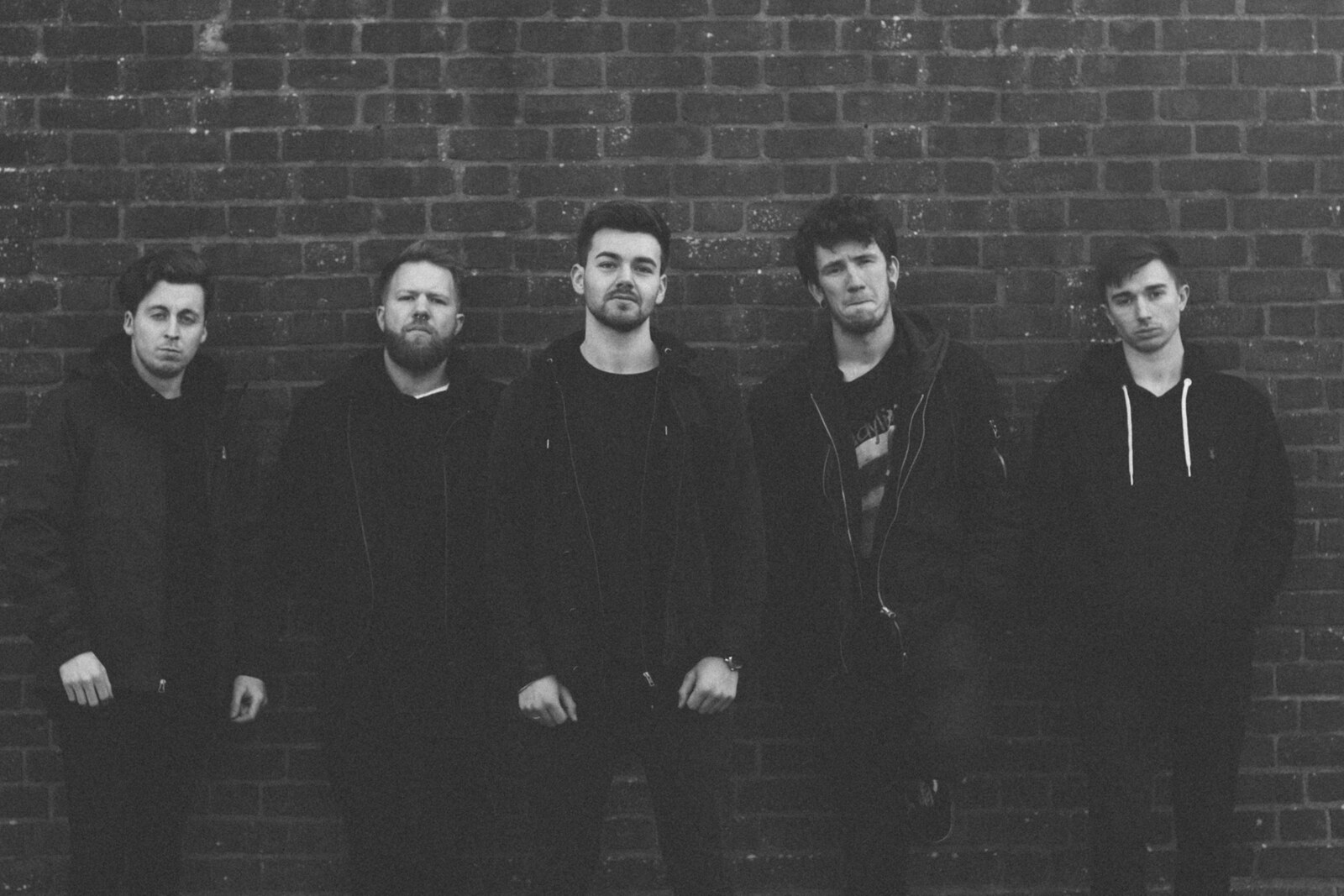Cove Unveil Smashing New Video