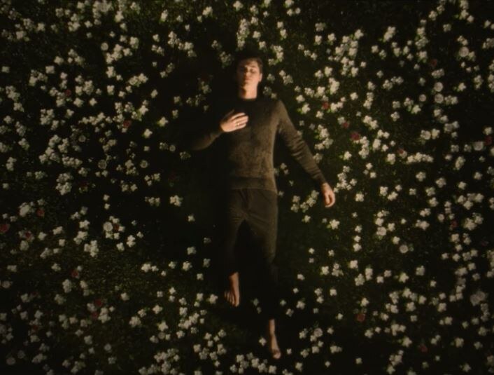 Shawn Mendes 'In my blood' video out now!