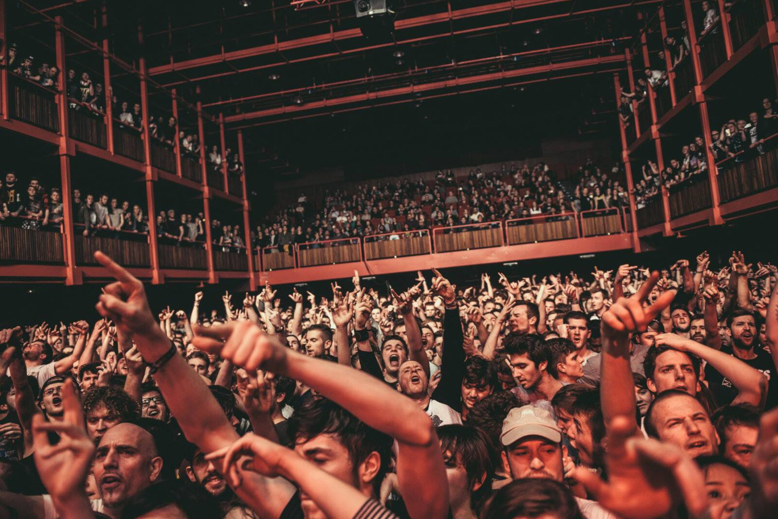 Het Belgische concertpubliek ontrafeld