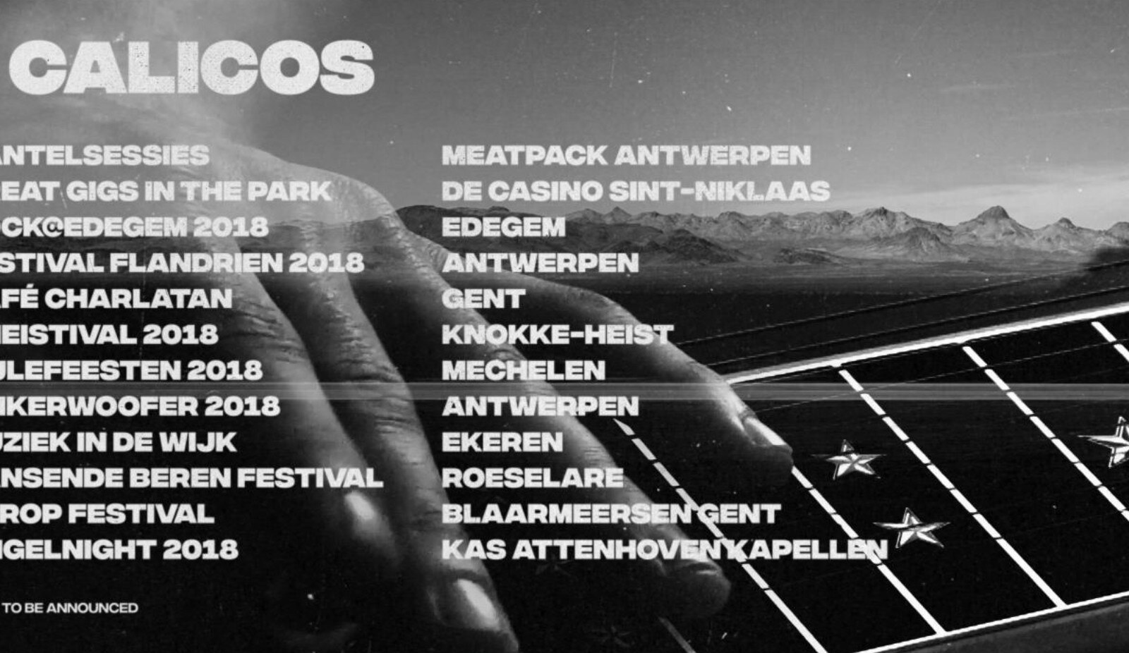 The Calicos stelt festivalzomer voor