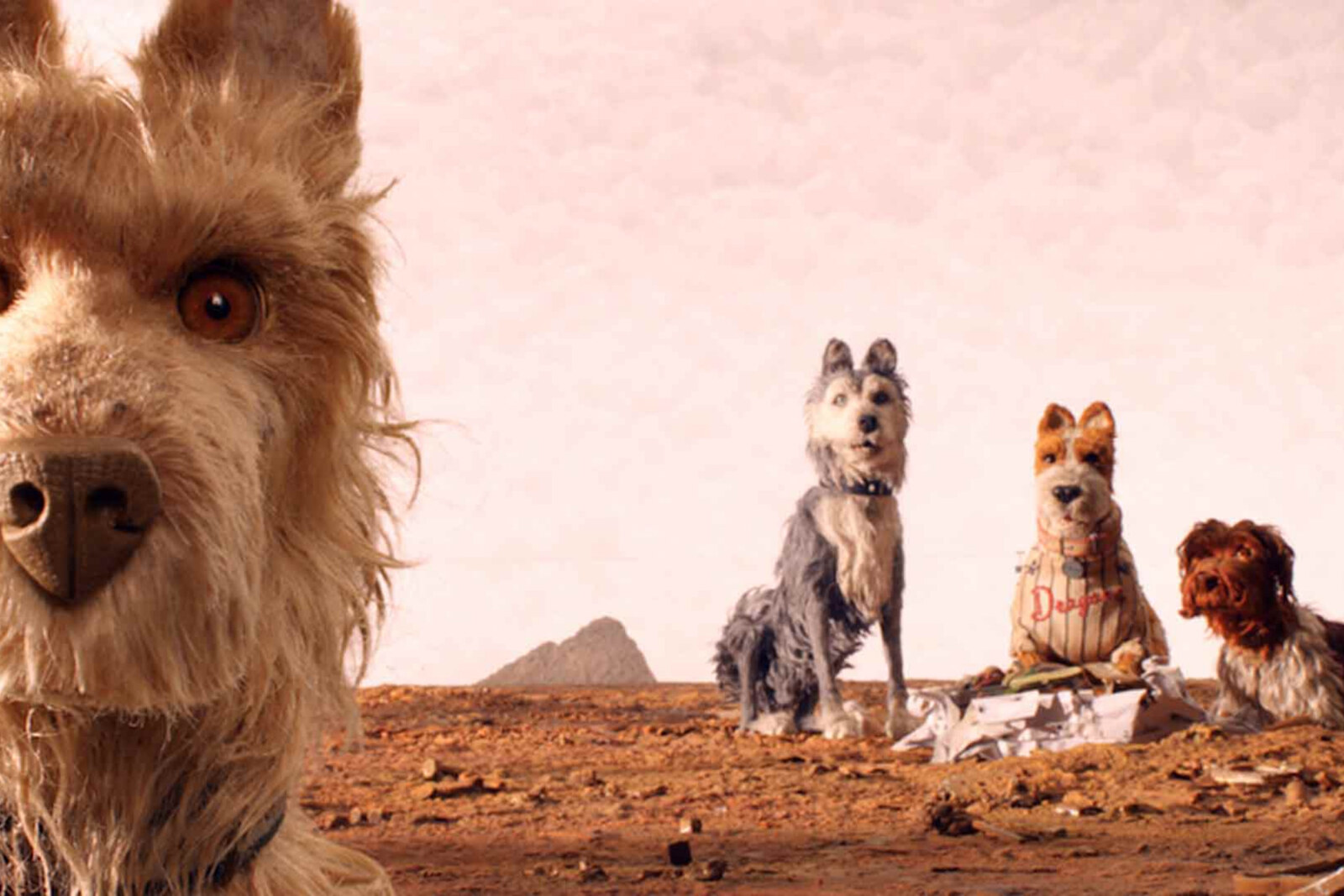 Isle of Dogs, een film om van te kwispelen verschijnt op DVD