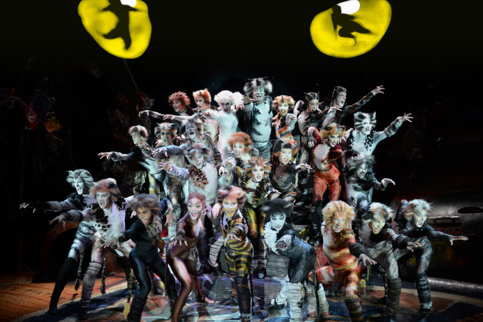 De musical CATS komt in 2019 voor het eerst naar Brussel!