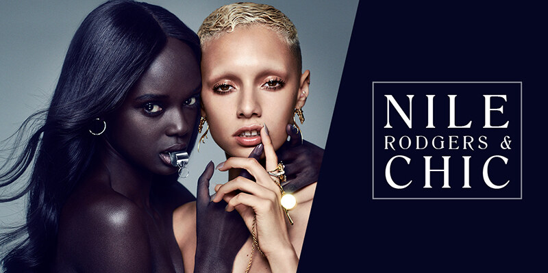 Nile Rodgers & CHIC komt naar Vorst Nationaal
