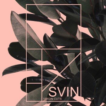 Svin Premiere New Single Baby w/ Music Video. November Tourdates Announced!