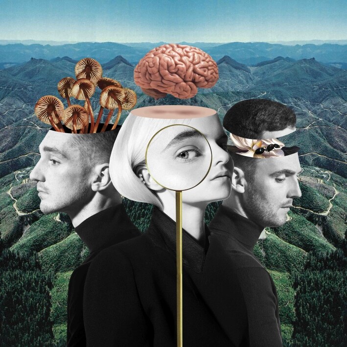 Clean Bandit stelt voor "What is love?"
