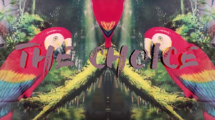 Catz 'n Dogz Reflect On 2018 With Video For 'The Choice