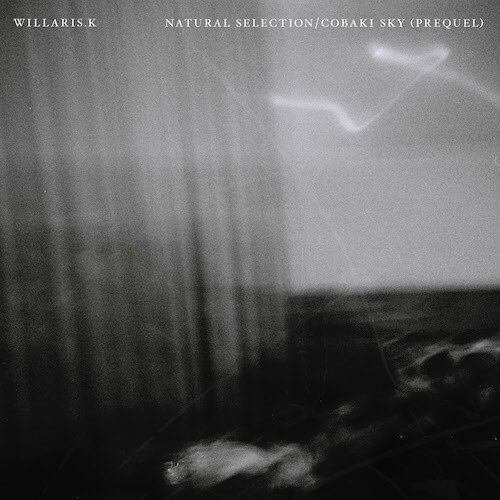 Willaris. K drops new double A-side,‘Natural Selection/Cobaki Sky