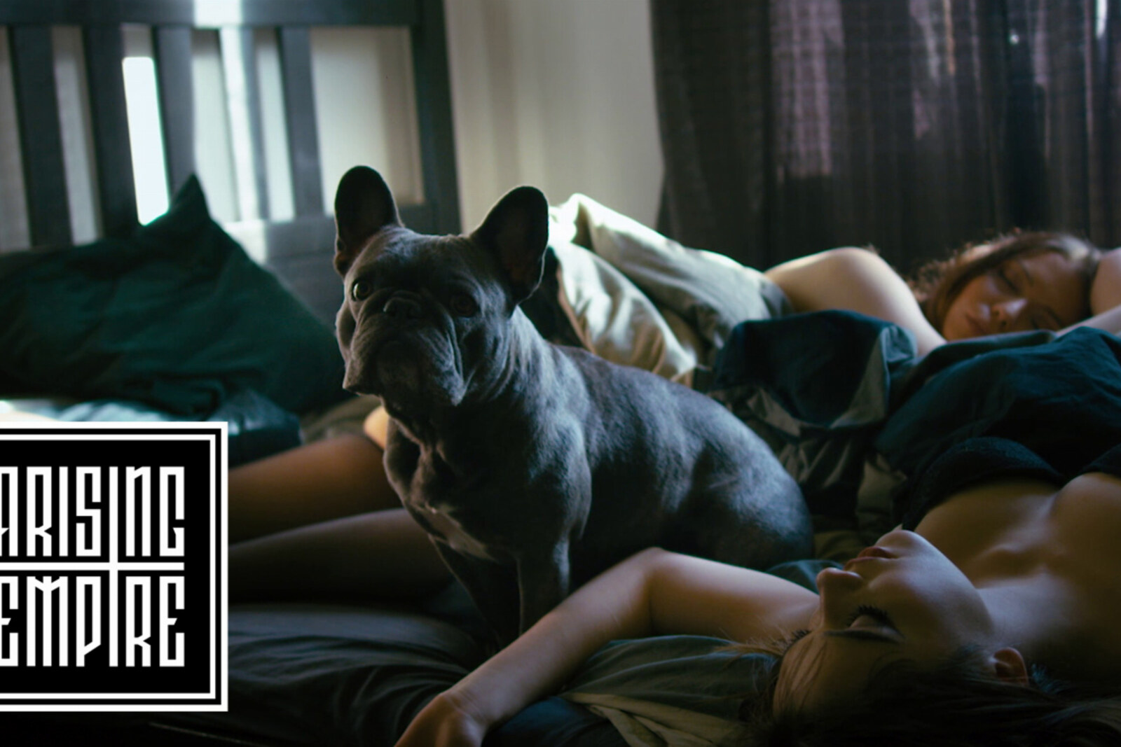 To The Rats and Wolves release music video for brand new single 'Cheap Love'!