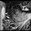 Mo'ynoq debut album "Dreaming in a Dead Language "