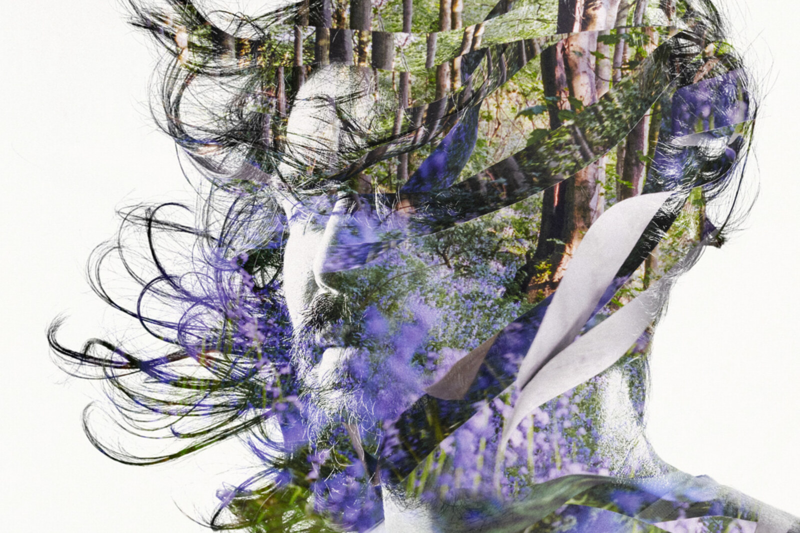 Bibio  Ribbons out April 12 via Warp Records
