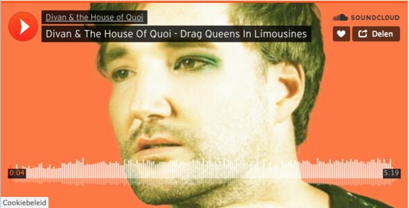 Single 'Drag Queens in Limousines' van project 'The Gay Tapes'