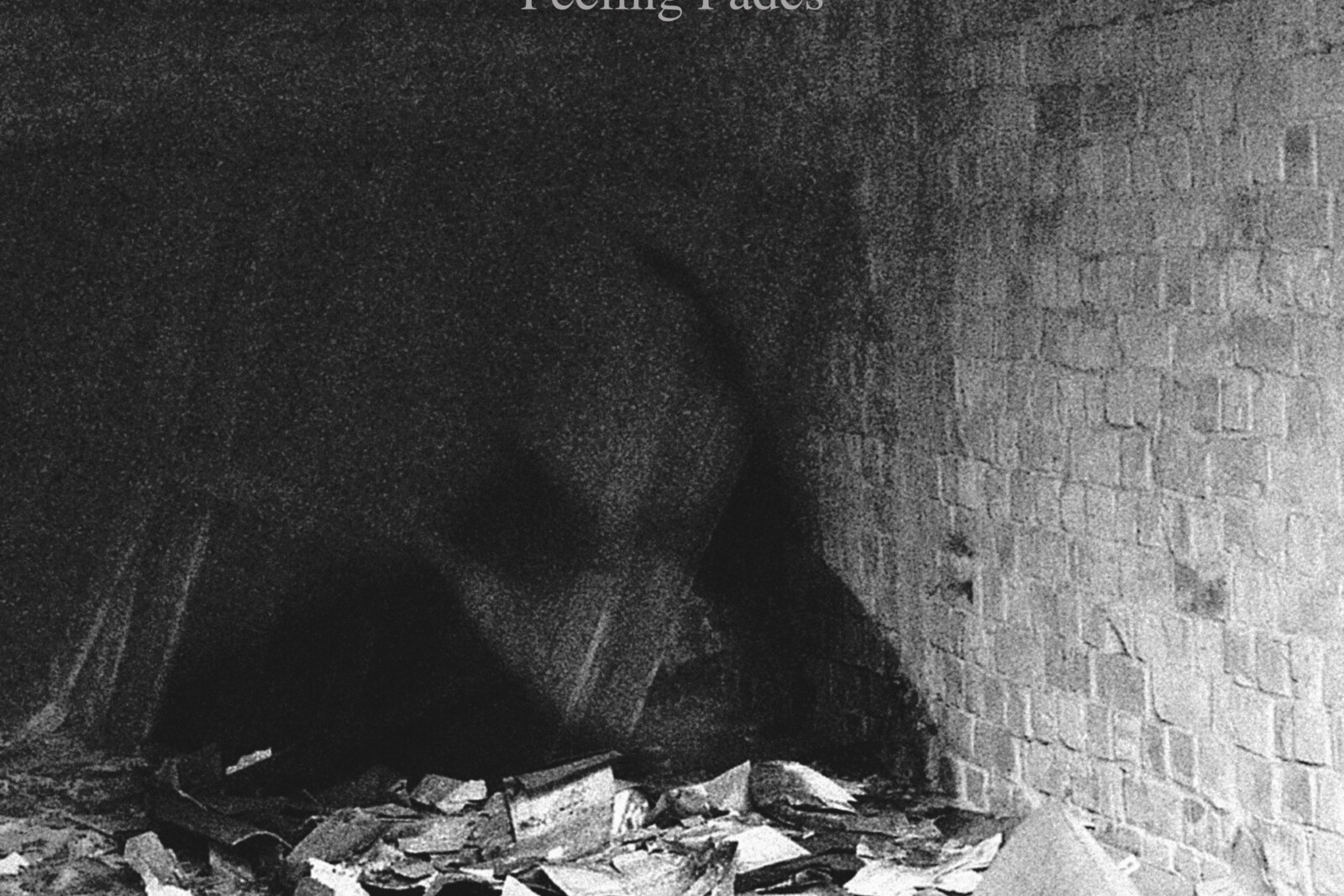 News from The Murder Capital, new single “Feeling Fades"