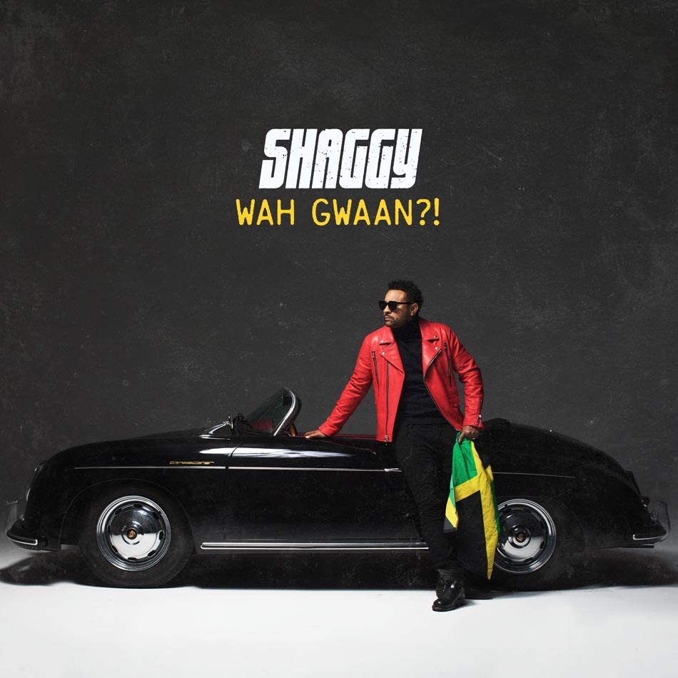 Shaggy set to unleash new studio album Wah Ghaan?!