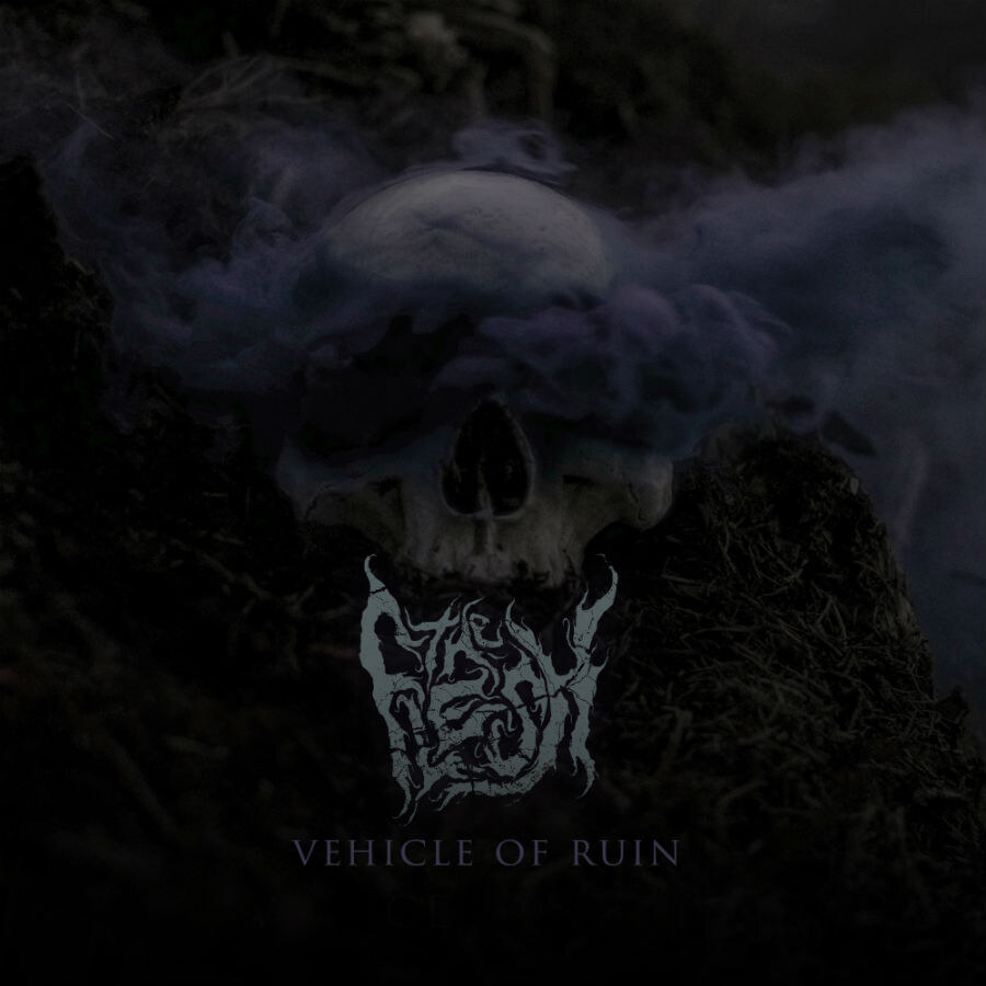 The Flesh cursed Dutch metal punks featuring members of Herder and Verwoed launch new single "The Last Word"!