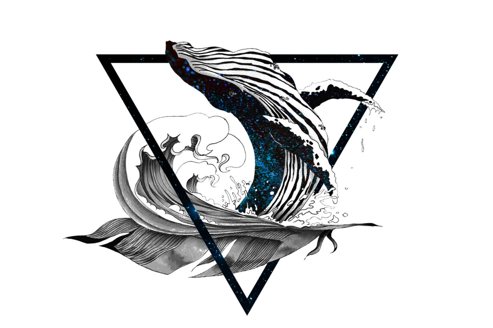 Molamola to release debut album "OceanHope"