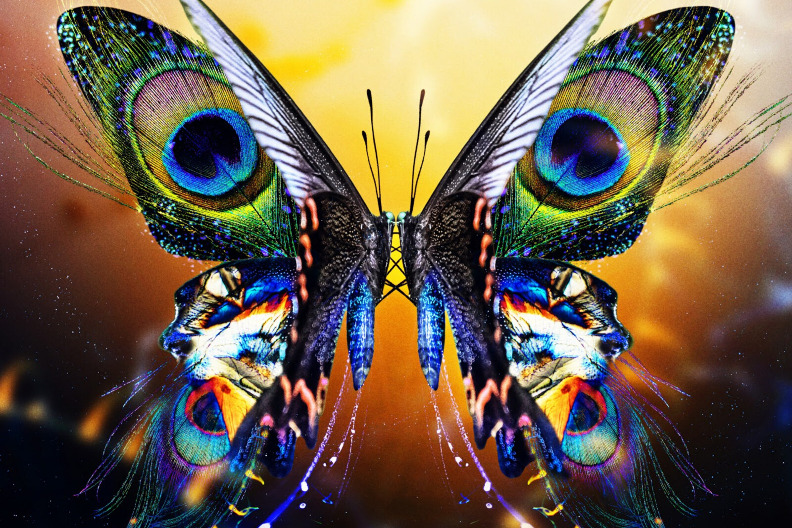 Tritonal release third full length studio album U & Me