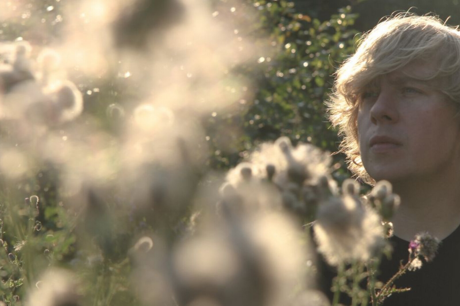 Dominik Eulberg Releases Music Video Created By Renowned Nature Documentarist Jan Haft | Watch Now