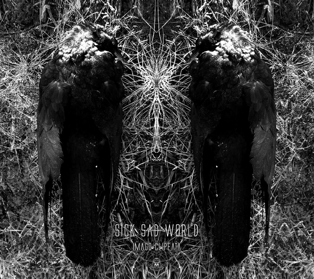 French post-metal outfit Sick Sad World unveiled new music video "The Rope" on YouTube