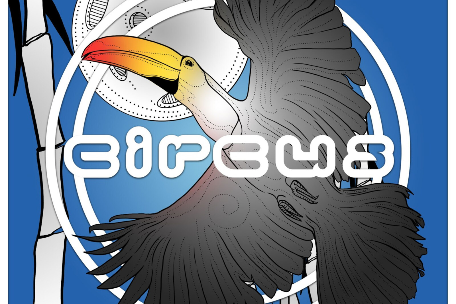 Big Voyage releases new single “Flight Of The Toucan”  