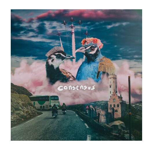 ‘Consensus’ nieuwe single van Nijmeegse indieband Waltzburg