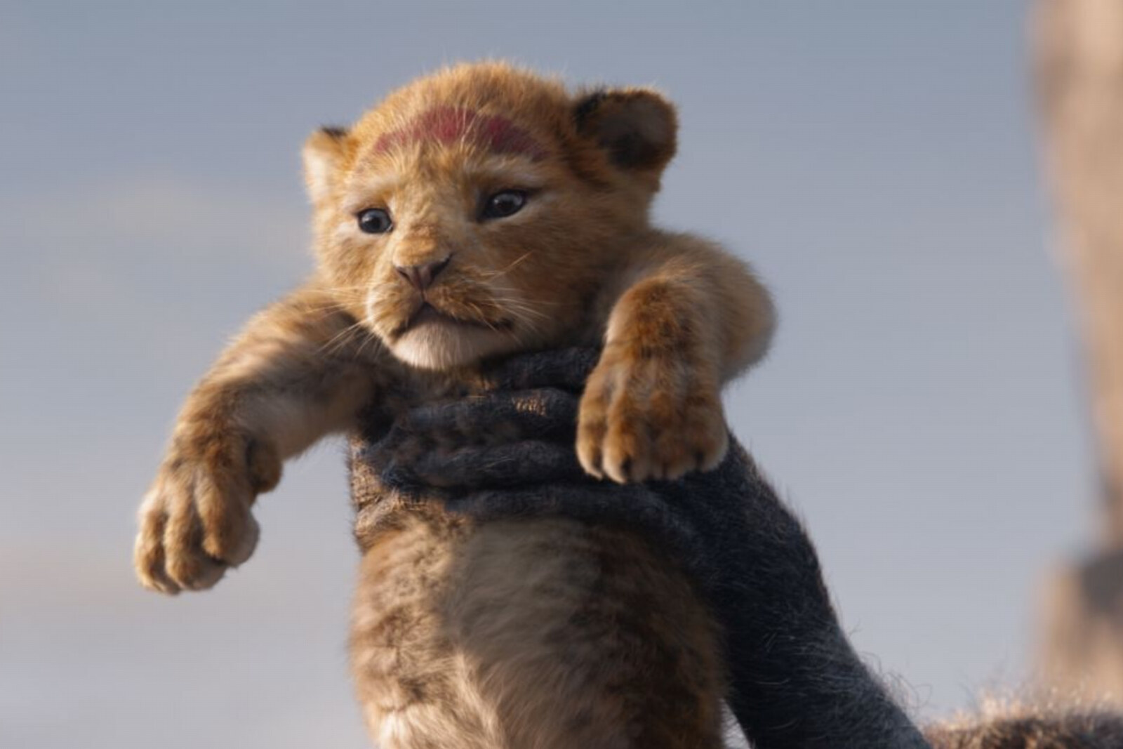 "The Lion King"op één na meest succesvolle film aller tijden in België