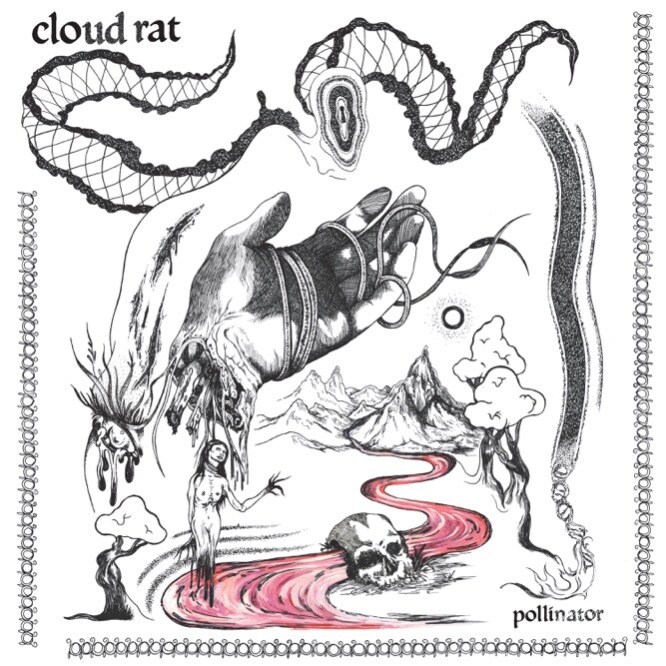 Cloud Rat debuts 'Wonder' from new album, 'Pollinator'